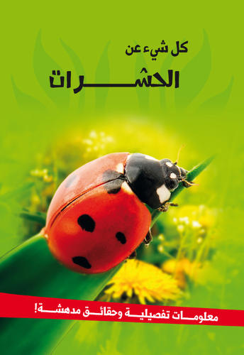 كل شىء - الحشرات
