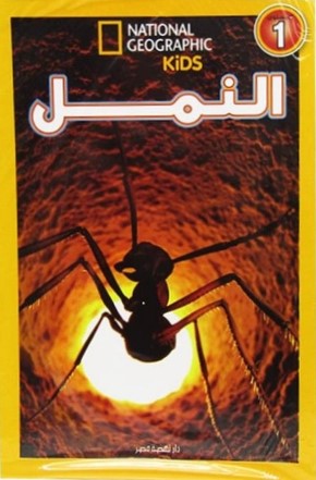اقرأ مع ناشيونال جيوجرافيك - النمل